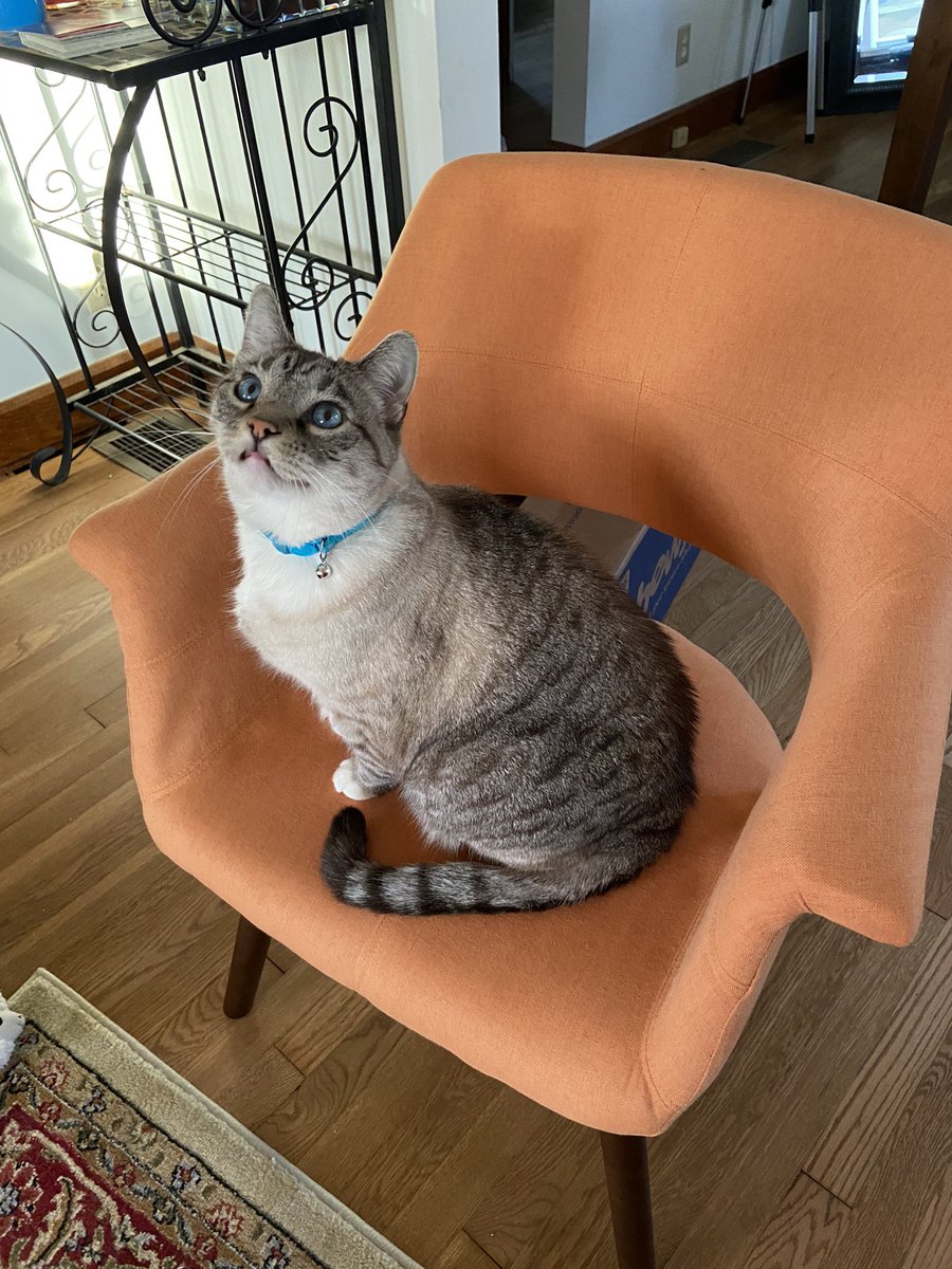 court ❤️‍🔥🫶🏻 tweet media