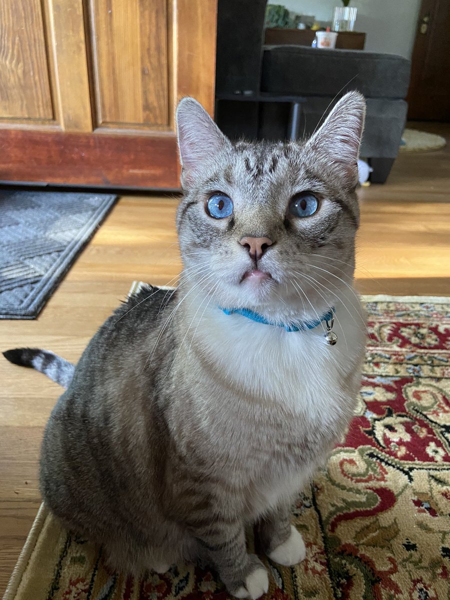 court ❤️‍🔥🫶🏻 tweet media