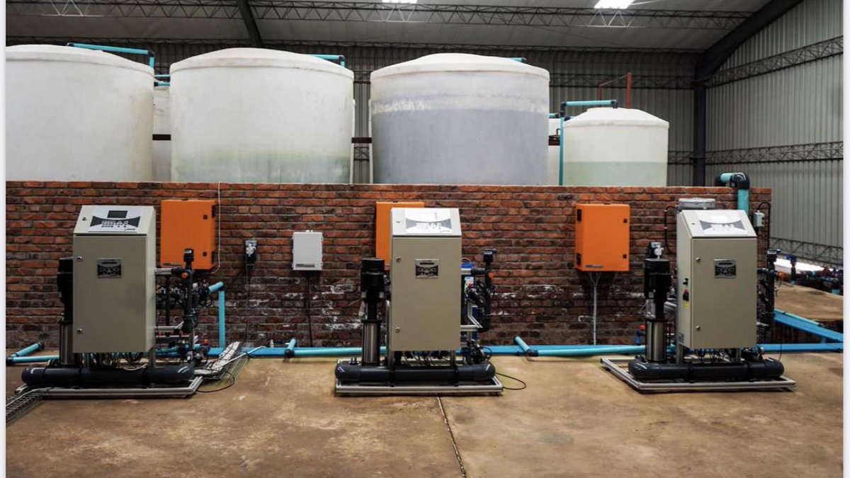 Now the irrigation part is fascinating: Water is pumped from reservoir to tanks where it’s tested for pH and electrical conductivity and nutrients added. The fortified water solution is then pumped to each and every plant pot in exactly the same amount - and at the same time