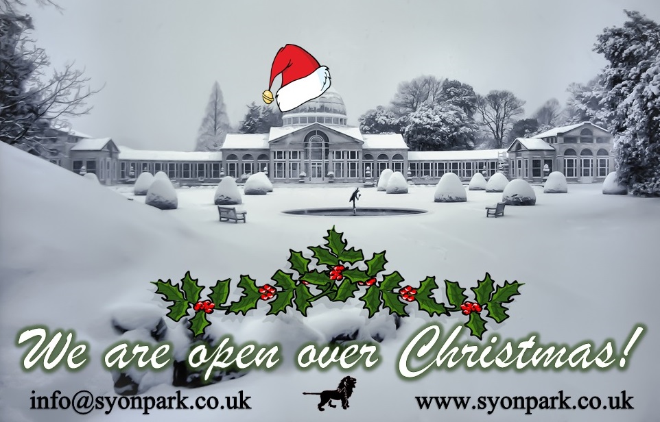 SyonParkHouse's tweet photo. We are opening the Great Conservatory and gardens for the first time between Christmas and New Year. So why not come and walk off your Christmas Dinner? 🎄

Open from Saturday 26th December to Sunday 3rd January, 10.30am to 4.00pm.

📸 Simon Hadleigh-Sparks 

#SyonPark #Brentford https://t.co/62PCPVIhUR