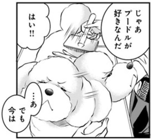 今回サンジュがトリミング前で満腹くん化してます 写真はリアル満腹くん笑 みやうち沙矢 Dog Signal5巻3 8発売の漫画