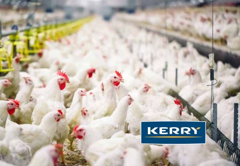 extendedcampus's tweet photo. "The #collaboration has helped #Kerry to translate the often difficult message from complex statistical analysis into a clear value proposition..."
Read how @kerryfoodgroup availed of @CITmaths
expertise in #DataAnalytics
#casestudy: https://t.co/xgNkTfYsry
#CollaboratewithCIT https://t.co/zjcFmOV1bR