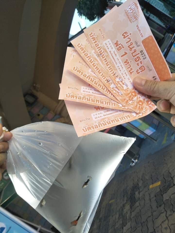 ดรีมเวิลด์เค้ามีโปร พาสัตว์เล็กมาเข้าฟรี แล้วพี่คนนี้เอาปลาหางนกยูงไป 5 ตัว แล้วได้เข้าฟรี 5 คน 5555555555555555555555555555