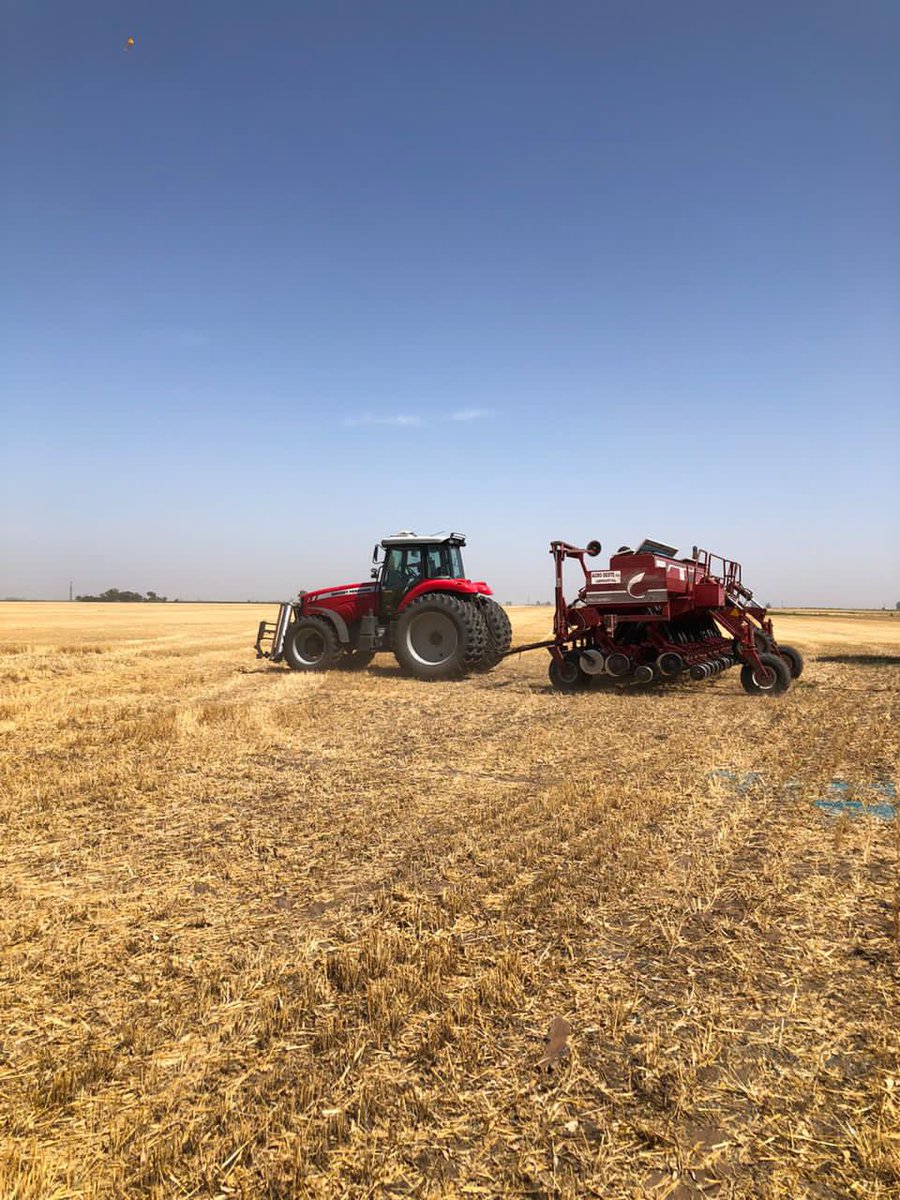 Soja de 2da... Hace 4 días decidimos para por suelo seco y esperar a la lluvia anunciada para hoy. La lluvia no llego por lo que continuamos en seco pero en fecha. Una jugada peligrosa porque los lotes están desparejos de humedad en superficie.