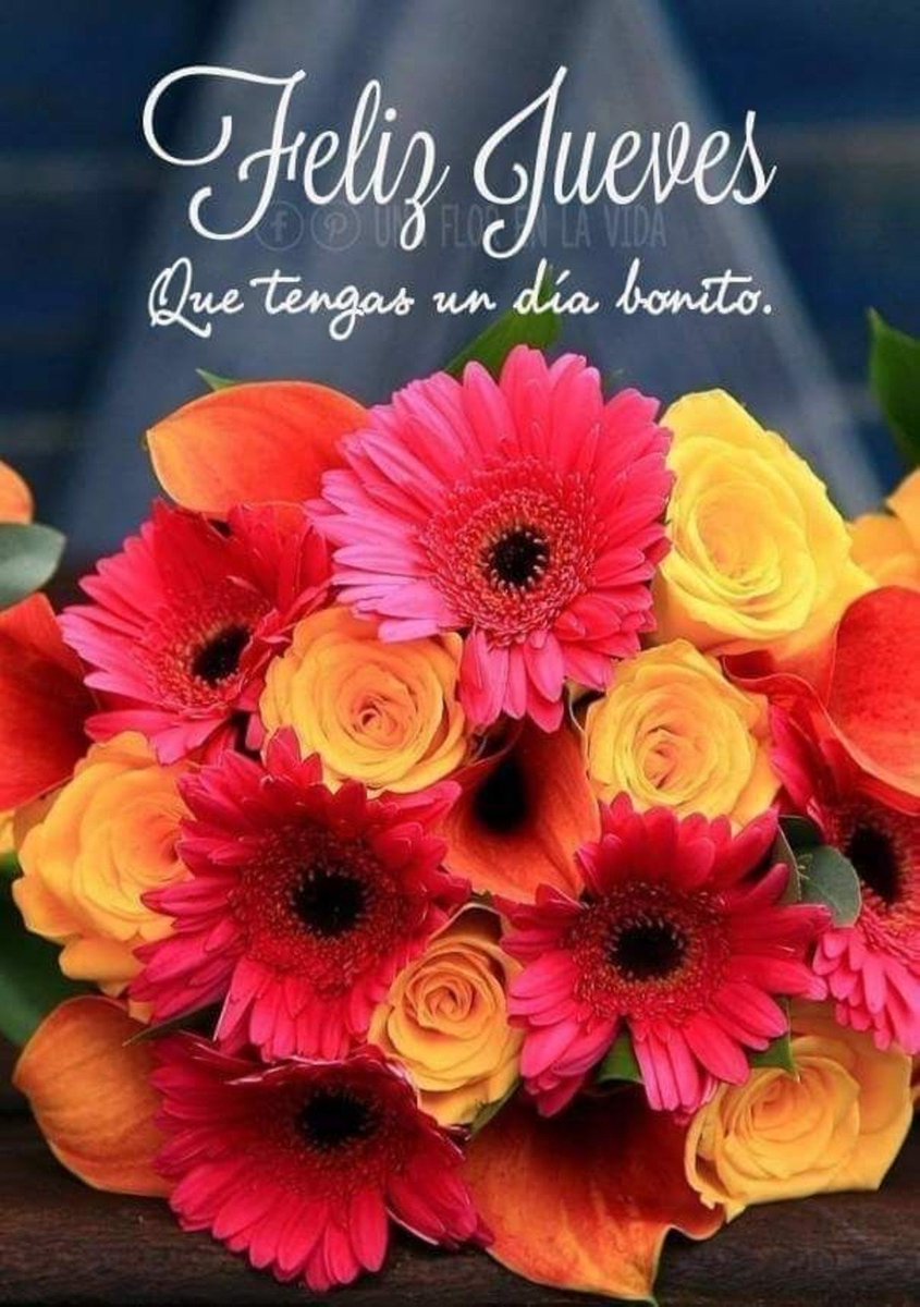 LaMerkel2's tweet photo. @anatarsi Hola. Ana.  Lindo  viernes. Para. Vos. Pásalo l indo. Te. Quiero. Cuidate. https://t.co/07kP9JQ8lj