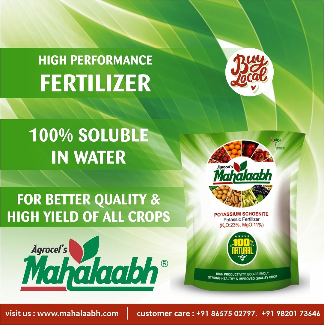 Agro_Mahalaabh's tweet photo. Manufacturing successfully for the 1st time in India - Mahalaabh Potassium Schoenite !!
#mahalaabh #agrocel #fertilizer #potassicfertilizer #fertigation #foliarapplication #organicfertilizer #bumpercrop #potassium #magnesium #sulphur #ecofriendly #qualityproduce #qualitycrop https://t.co/bZAlr6JGK0