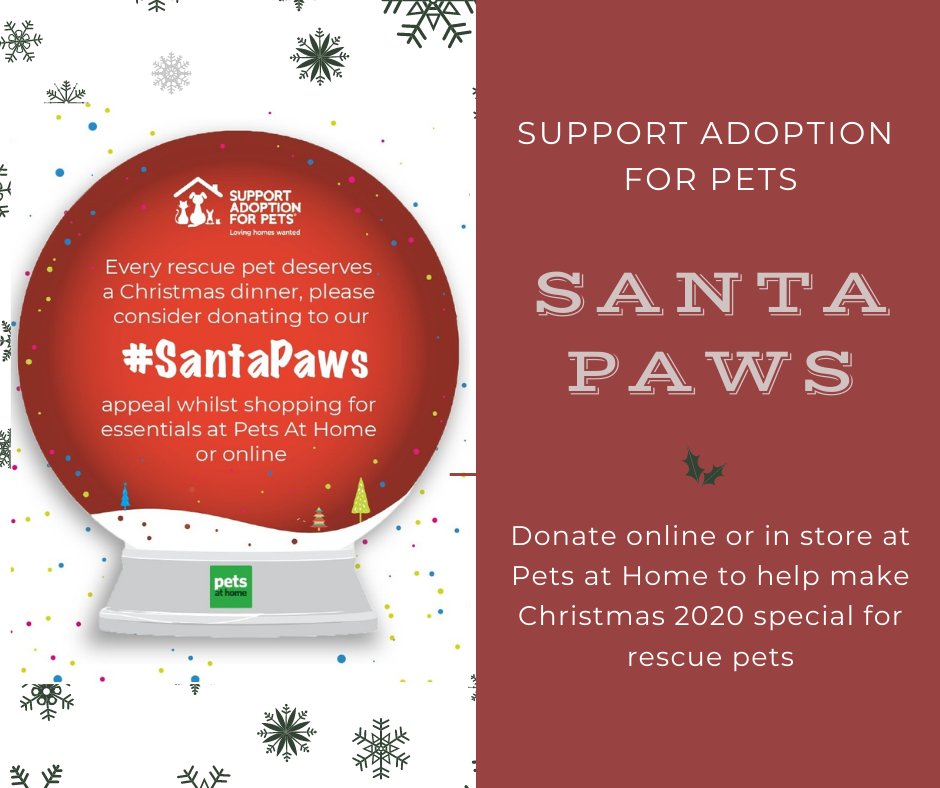 RSPCAMIDDLESEX's tweet image. It&apos;s time for Santa Paws to pay a visit 🎅🐾
Every rescue pet deserves a Christmas dinner, please donate to the Support Adoption For Pets appeal 
Donate online here: supportadoptionforpets.co.uk/santa-paws-202…

#SANTAPAWS #christmaspresent #christmasspirit🎄 #christmas2020 #feelinggood #givingthanks