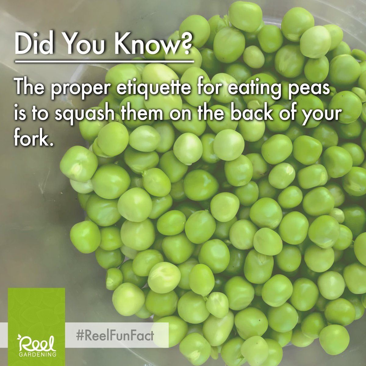 Reel Non Profit Organisation tweet media