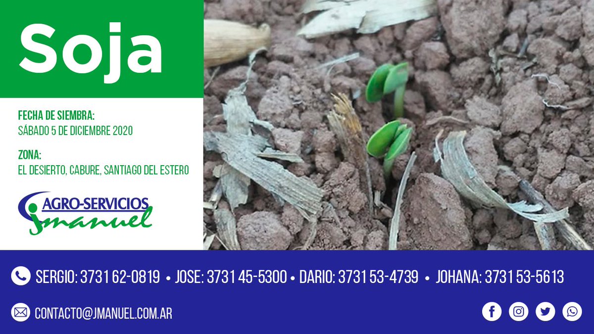 #soja 🌱 naciendo en la zona de Caburé, Santiago del Estero

#agro #agroserviciosjmanuel #santiagodelestero #cultivo #siembradesoja #charata #tresisletas #sachayoj #villaangela #gancedo