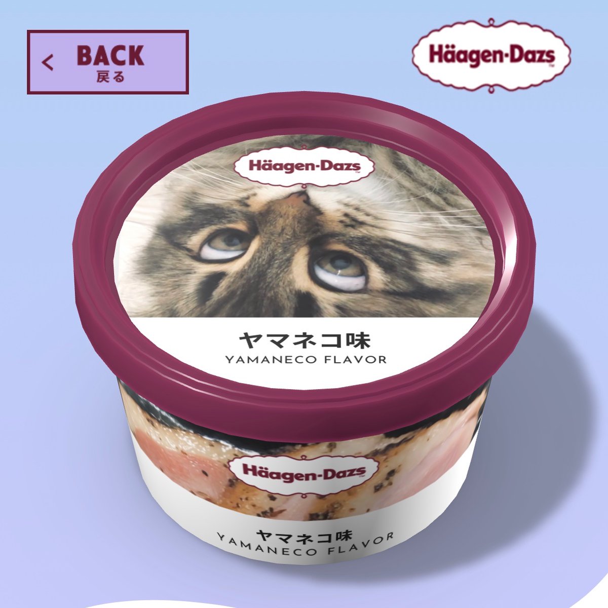 人間用の鴨肉を発見した猫さんが食べたさのあまり白目まで 表情豊かに伝えてくる 全力で止めにかかってます Togetter 人間用の鴨肉を発見した猫さんが食べたさのあまり白目まで 表情豊かに伝えてくる 全力で止めにかかってます Togetter