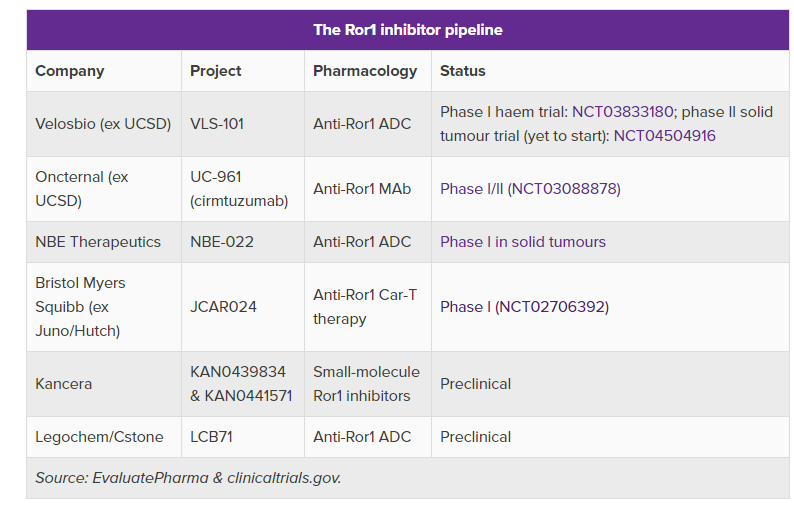 CAR-T: ROR1 is not expressed on healthy tissue so why not hit it with the bazooka? And if tumor stem cells - which resist existing SoC - do indeed rely on ROR1, then a potent ROR-1 CAR-T + cytotoxic SoC combo could overcome the problem of solid tumor heterogeneity for real CRs.