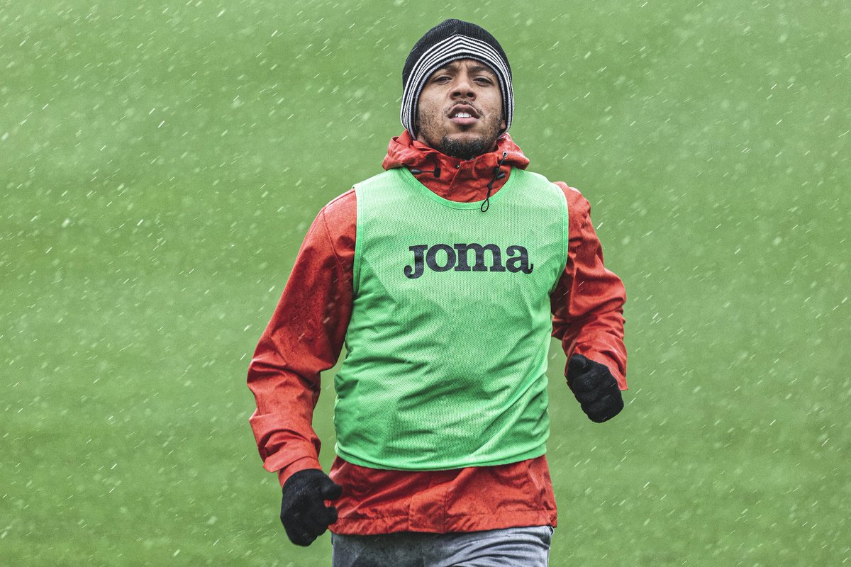 18. Wayne Routledge - D+After a well-deserved contract renewal over the summer, it’s clear to most people that although he’s still the most intelligent player on the pitch at all times, after years of running his legs have finally begun their decline. Likely in his final year.