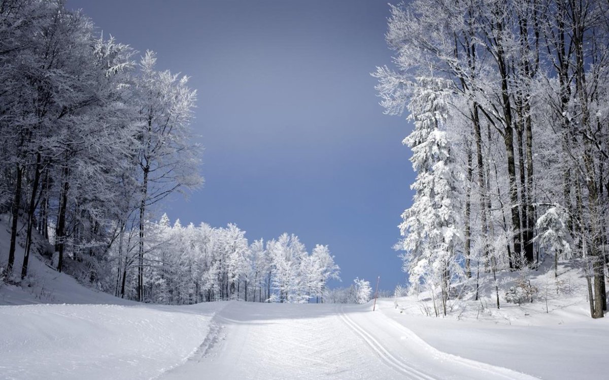 WindowsFrance's tweet photo. 🎿Aujourd'hui, c’est la journée internationale de la montagne, l’occasion de mettre à jour votre fond d’écran avec notre sélection de paysages enneigés ❄
👉 https://t.co/DVz5sc8laY
#WindowsForever https://t.co/yhKED1UYdx