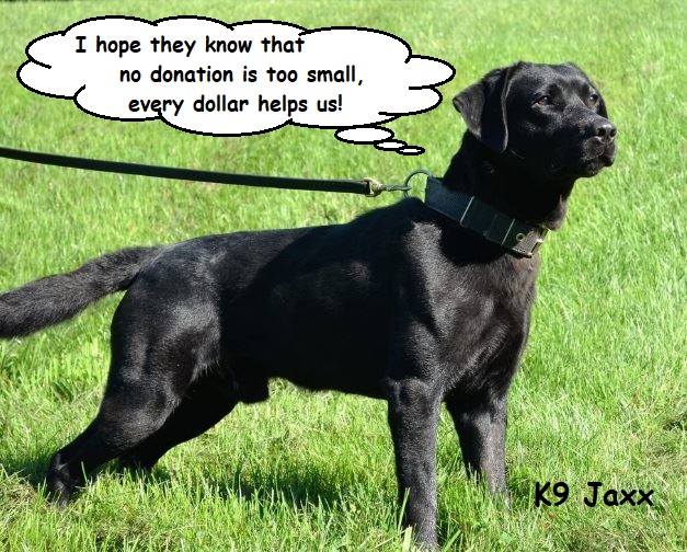 catmom_kathy's tweet image. Two days left for our K9 fundraiser!

#K9ArmyStrong #K9 #fridaymorning #FridayMotivation