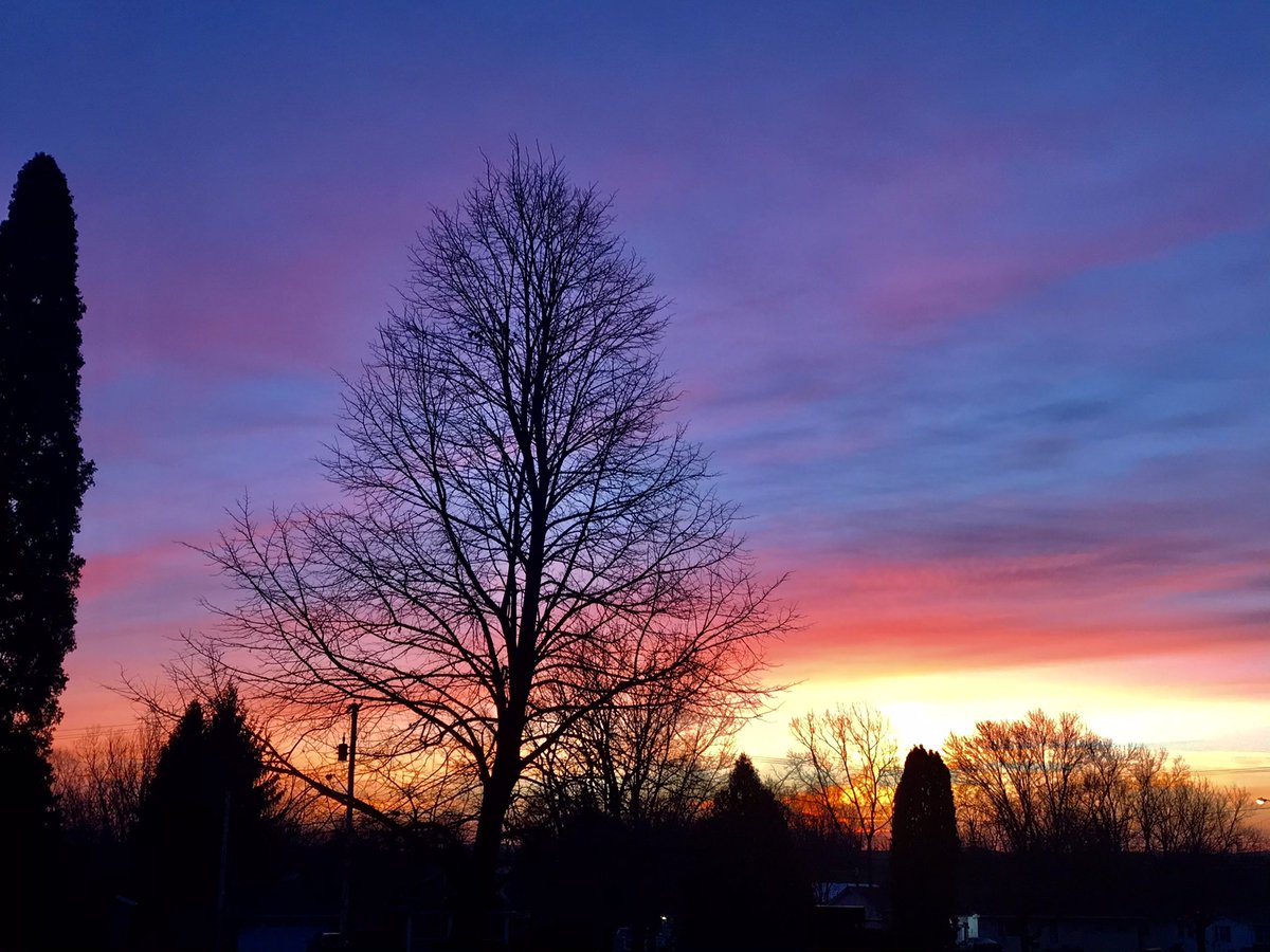 E2Running's tweet image. Remember, light is the most beautiful when breaking through the darkness. Be the light in someone’s darkness today ❤️
#sunrise #fridayfeeling #spreadlove #choosejoy #bekind #natureinspired