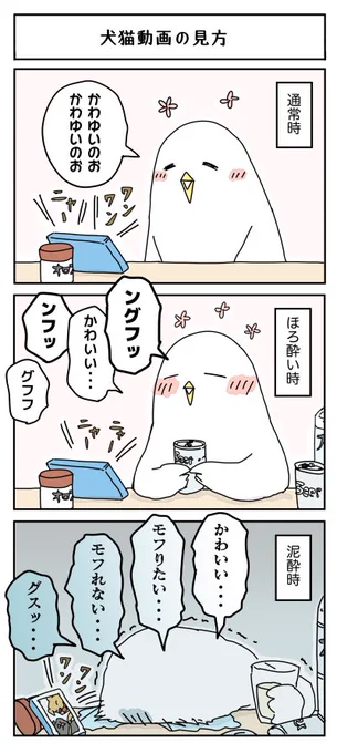 あと喋る鳥の動画や猫のジャングルジムみたいなの作る動画も好きです。 