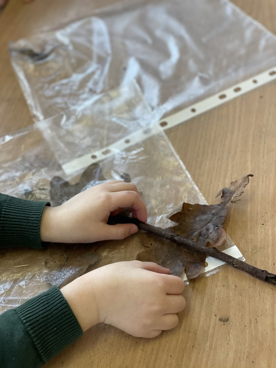 Mr Ellmore tweet media