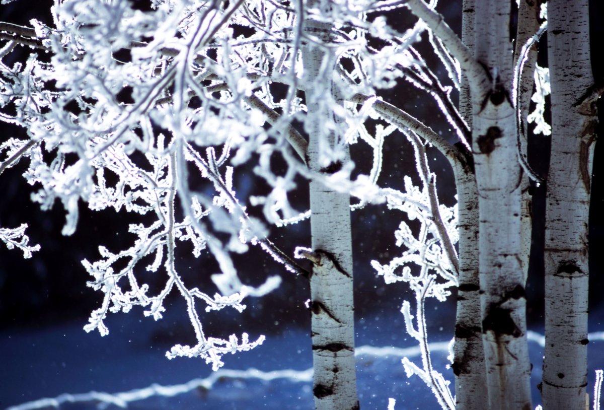 Winter Solstice Celebration-Join us for free evening of rituals and moments of reflection. Tune into your own interpretation of inner light and inner darkness and learn how to embrace what both bring to your life. Learn more here: buff.ly/2K9BPjz
