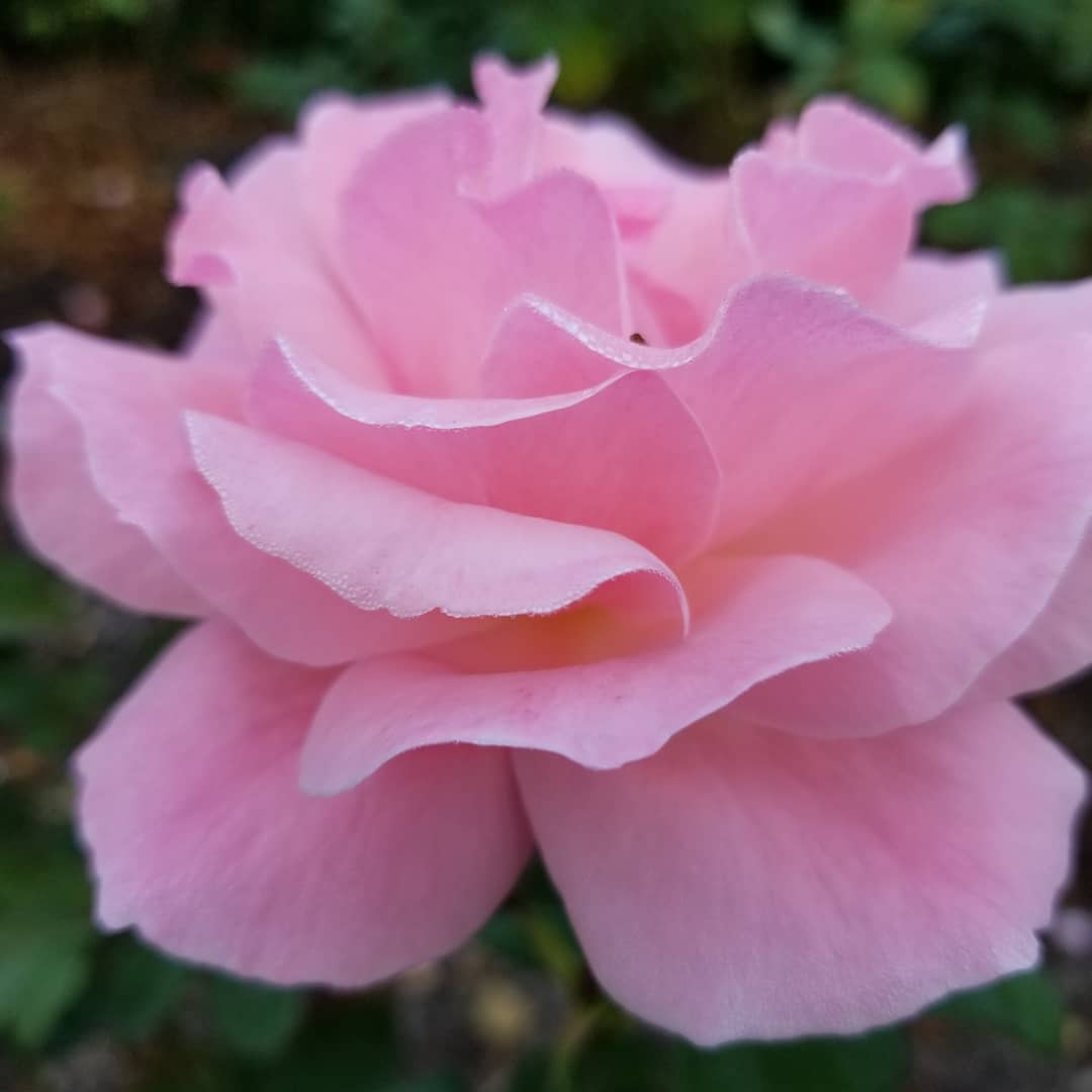 CParkGardens's tweet photo. #NewProfilePic https://t.co/64o28o9Lo7