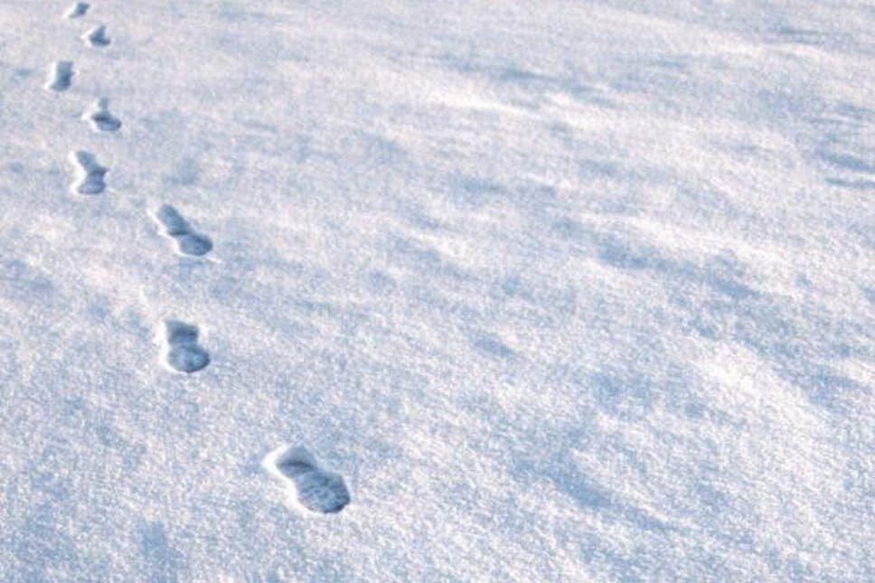 Join us Sunday 8am on <a href="/purewestradio/">Pure West Radio</a> for christmassy music, thought for the day and special guests on #RaiseThePraise