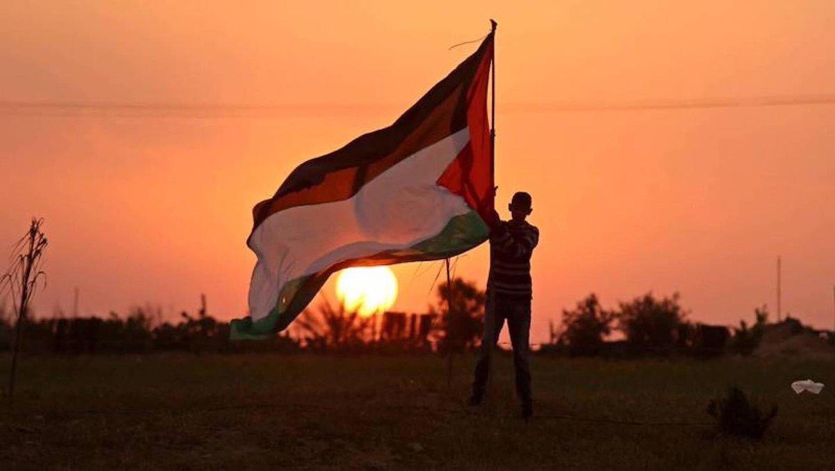 إلى فلسطين وأهل فلسطين ولكل من يدافع عن فلسطين السلام عليكم أيها الشرفاء وليسقط المطبعون✌🏼