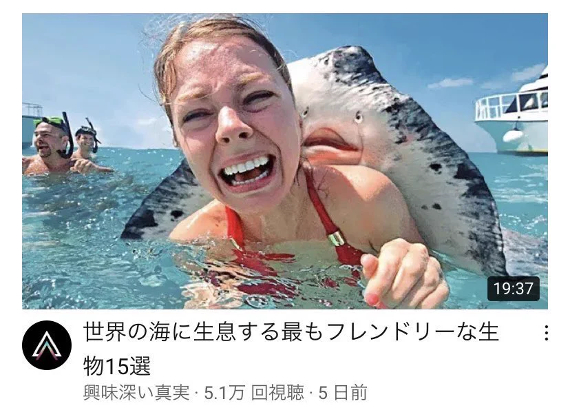 エイってこんなにフレンドリーな生物なの？写真撮る気満々！
