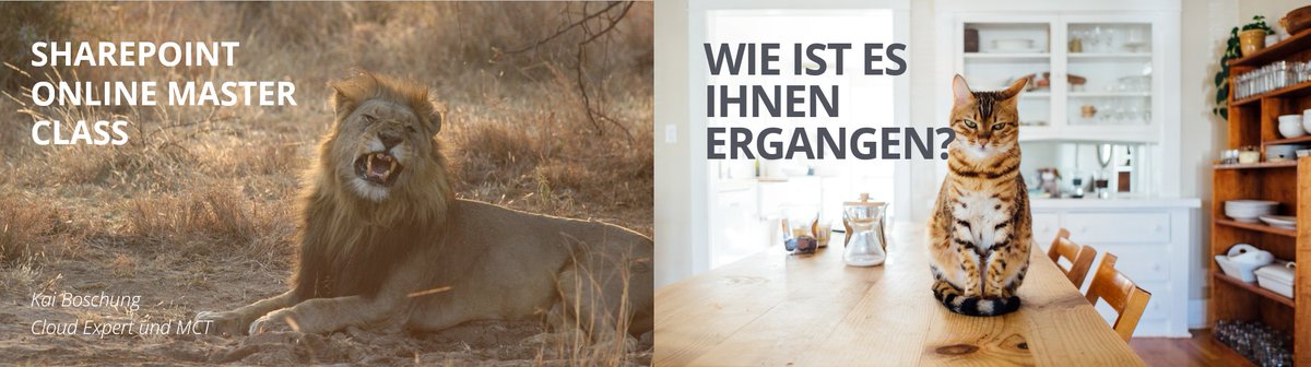 Engineerer_'s tweet image. In a workshop I gave yesterday, we tried to tame @SharePoint aka &quot;the beast&quot;. I think we were successful! #expertslife #mct