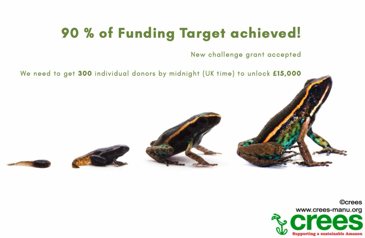 Absolutely Amazing - The support for CREES Foundation is overwhelming. THANK YOU.

Can't wait to get to work in 2021

We still need that final boost so if you can please share or donate today.

spsr.me/6Qrt