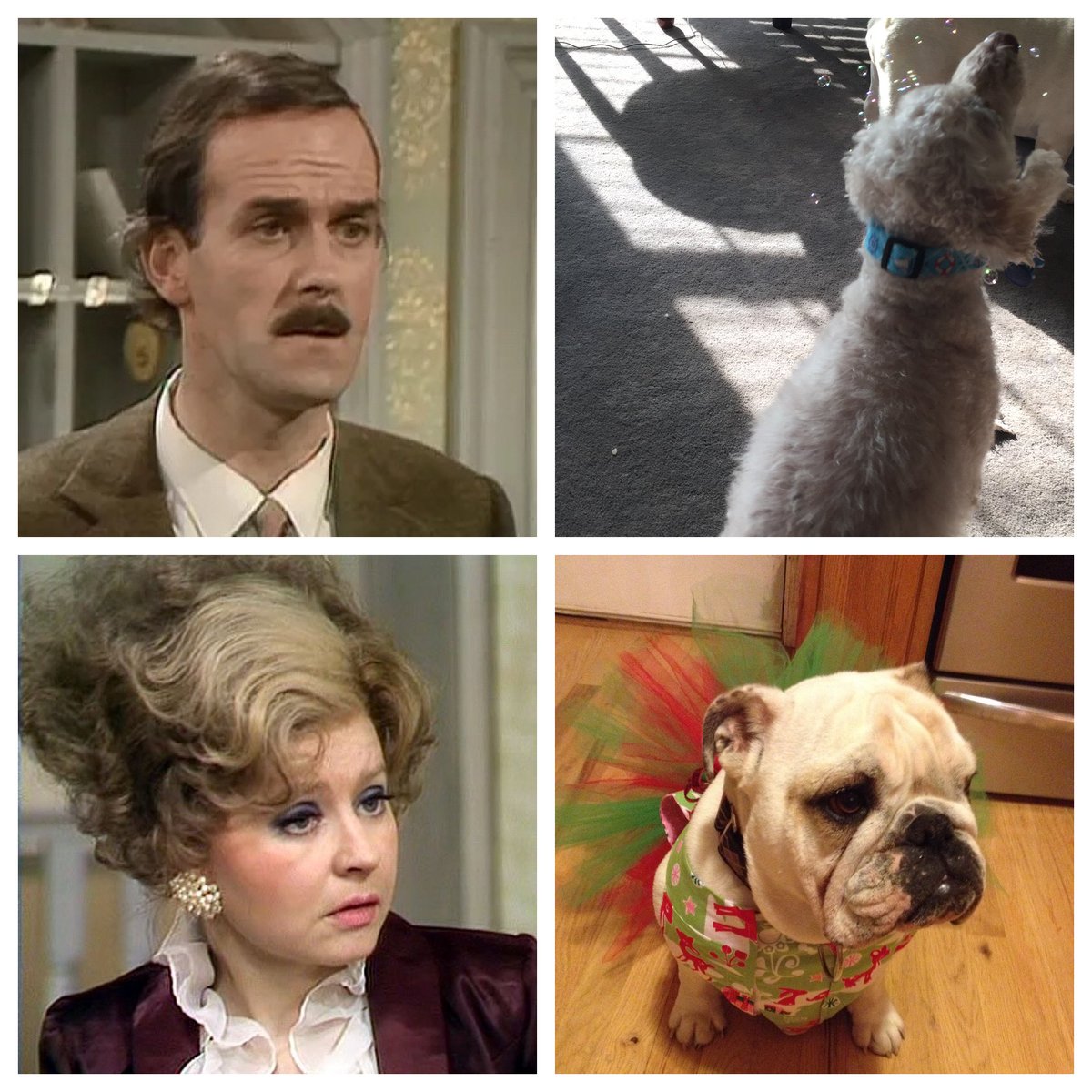 taxday15's tweet photo. @heckyessica Basil and Prunella from fawlty towers https://t.co/T2Xk9u5k8o