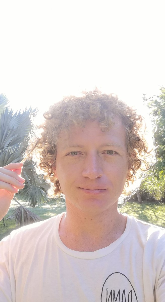 diearmanro's tweet image. 🌞Early Morning Sunshine... ❗ #GoldenHour #Curlz