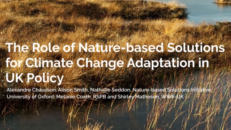 In the UK,  #naturebasedsolutions are a vital part of building resilience to the impacts of  #climatechange, while storing carbon and protecting  #biodiversity.To learn how, read our new policy brief with  @Natures_Voice and  @WWF_UK http://www.naturebasedsolutionsinitiative.org/news/role-of-nbs-for-climate-change-adaptation-in-uk-policy/ @DefraGovUK  @COP26