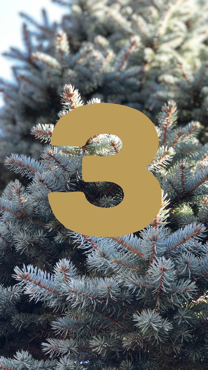 DiscoverDyfi's tweet photo. 🎄 Advent Calendar of Local Gift Ideas
3rd Dec 
@_Elin_Angharad
Belt wedi ei greu o ledr enwog 'Buttero' o’r Eidal. Gyda thrwch o 2.6-2.8mm mae'r lledr yma yn datblygu patina hyfryd dros amser. Bwcl Brass wedi 'i castio yn Lloegr, gyda llêd bwcl o 32mm.
https://t.co/nv5i2PhDRQ https://t.co/MlNisjrWY8