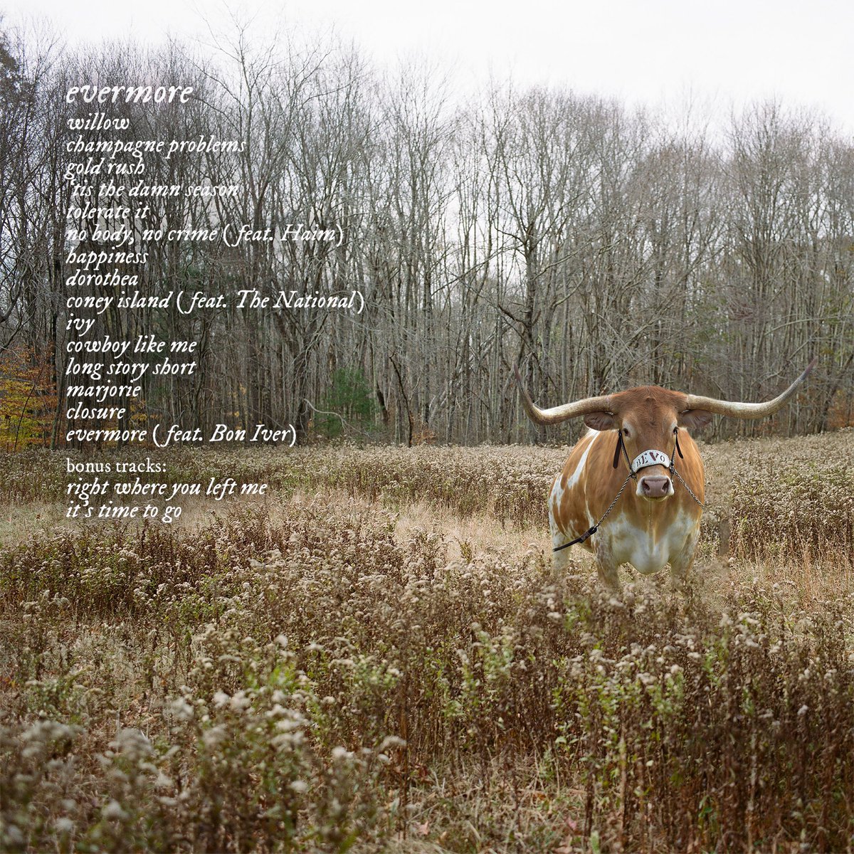 𝘣𝘦𝘷𝘰𝘮𝘰𝘳𝘦