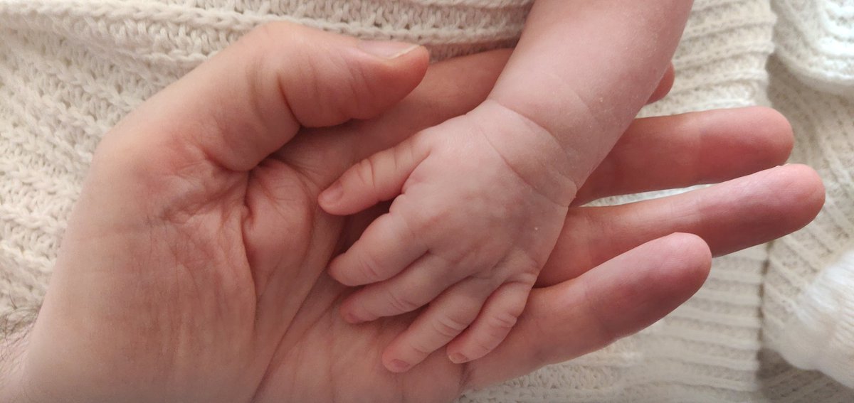 Dave Johnson tweet media