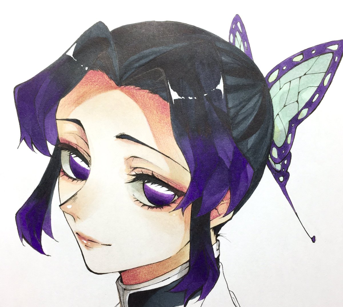 kochou shinobu 1girl solo hair ornament demon slayer uniform butterfly hair ornament purple eyes portrait  illustration images