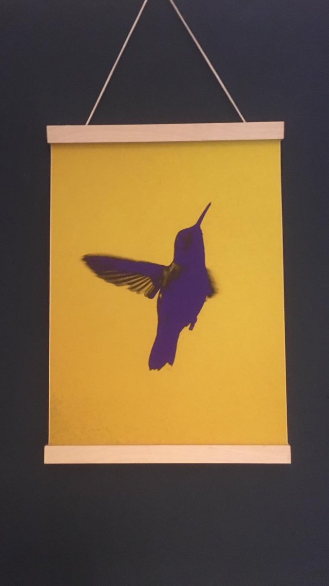 DiscoverDyfi's tweet photo. 🎄Christmas Advent Calendar of Local Gift Ideas 🎄
Idris Stores local prints and handmade gifts 
’Hummingbird’ print by Hazel Lyon, hung with locally-made birch ply hangers also available in store. 
Visit Idris Stores on Bridge Street, #Corris, SY20 9SP
#Machynlleth #MidWales https://t.co/E8oWPj6Afv
