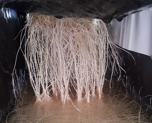 MMJ_Daily (@mmj_daily) on Twitter photo "Deep water culture offers a sustainable, efficient, and consistent methodology to grow uniform crops" <a href="/phytoponics/">Phytoponics</a> #MMJnews
mmjdaily.com/article/927654… "Deep water culture offers a sustainable, efficient, and consistent methodology to grow uniform crops" <a href="/phytoponics/">Phytoponics</a> #MMJnews
mmjdaily.com/article/927654…