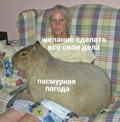 so_mad_so_funny's tweet photo. https://t.co/9nLvaQEmfA