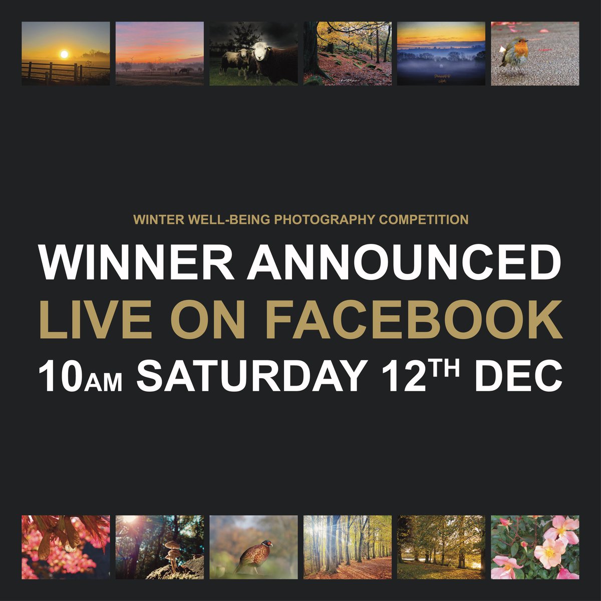 TheMasterframer's tweet image. 🏆 Winter Well-Being Photo Competition 🏆 

Join us this Saturday Morning at 10am!

We will be announcing this years Winter Well-being Winner live on Facebook. 

Best of luck everyone 🤞 🤗 📸 🖼

Watch it live here 👉 fb.me/e/64jsDGkHw