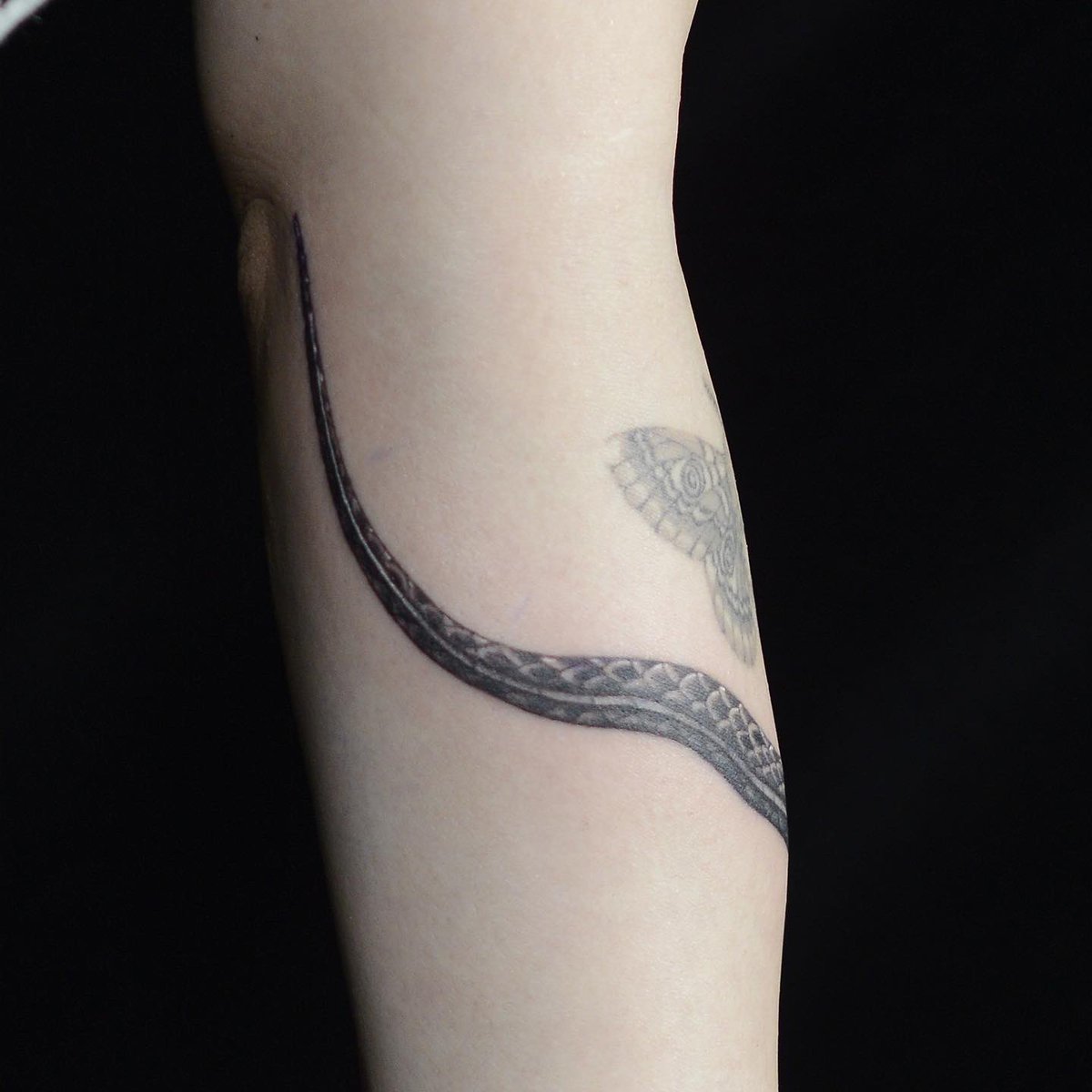 Mizuki Tattooist 腕に巻き付く蛇のタトゥー𓆙 タトゥー 蛇タトゥー 蛇 ウロコ タトゥーデザイン ブラックアンドグレー T Co Jhoxzsrzsy Twitter