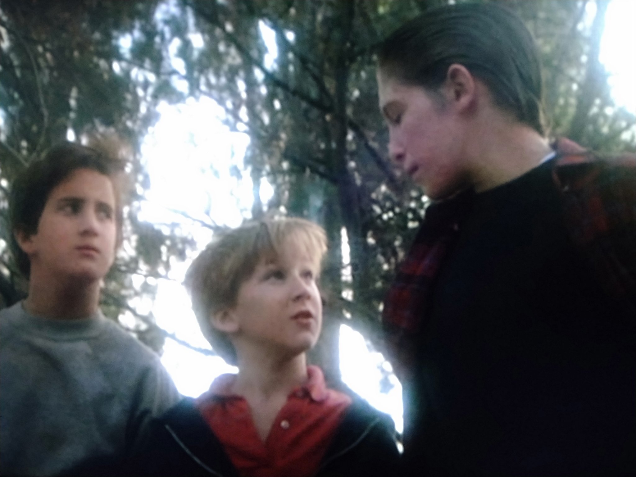 幾世徒然 バタリアン 2を見終わりました 前作がコメディ色の強いホラー映画でしたが本作は何故か子供向け 主人公は子供 内容は前作の焼き回し 前作に主演した俳優が似た役で登場してます あとタールマンも出てます ラストのマイコーバタリアンも有名か