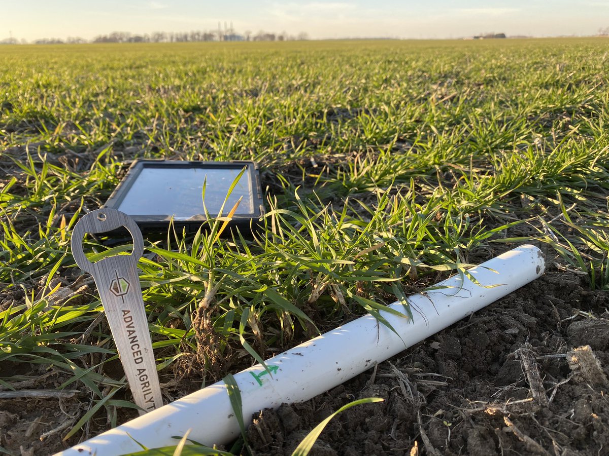 Time to make #wheat great again - <a href="/agrilytics/">Advanced Agrilytics</a> style...