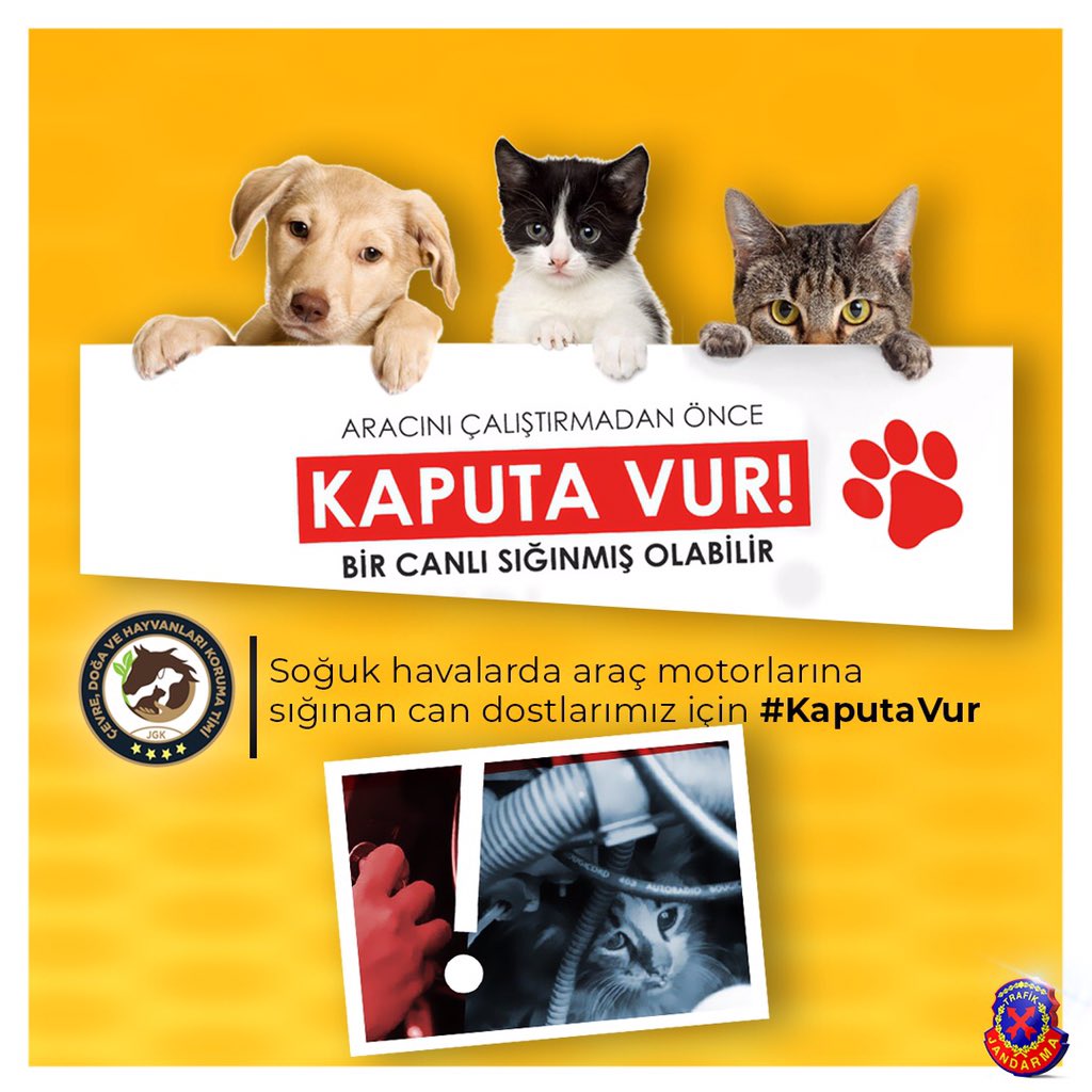 Değerli Sürücüler❗
Havaların soğuduğu bugünlerde, araçların herhangi bir yerini ısınmak amacıyla kullanmak isteyen sokaktaki hayvanlarımızın zarar görmemeleri için, araçlarınızı çalıştırmadan önce lütfen gerekli kontrollerinizi yapınız.🐶🐱
#JandarmaTrafik
#KaputaVur