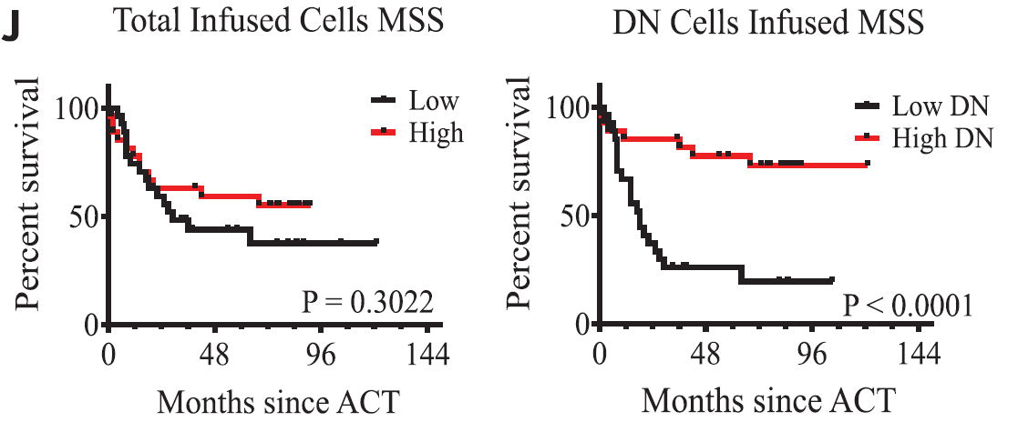 Surprisingly we found a CD39- TIL subset (CD39-CD69-, DN) associated with ACT-response. TBH we were expecting the opposite (CD39+). We only included CD39 bcz multiple groups (e.g. Simoni et al, 2018) had reported CD39+ as enriching for anti-tumor/neoantigen reactive T cells. /3