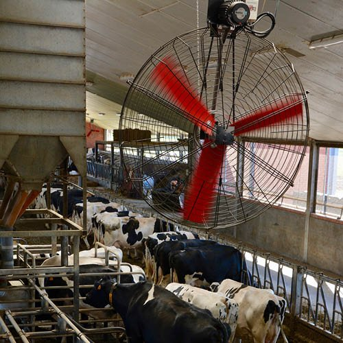 PrevTech_Innov's tweet photo. Fire prevention tip Friday: Make safety part of your farm business by prioritizing maintenance and prevention practices. Address and resolve any identified electrical, safety or fire risks – don’t wait until it’s too late. #fireprevention #prevtech https://t.co/FoOXbqMtvh