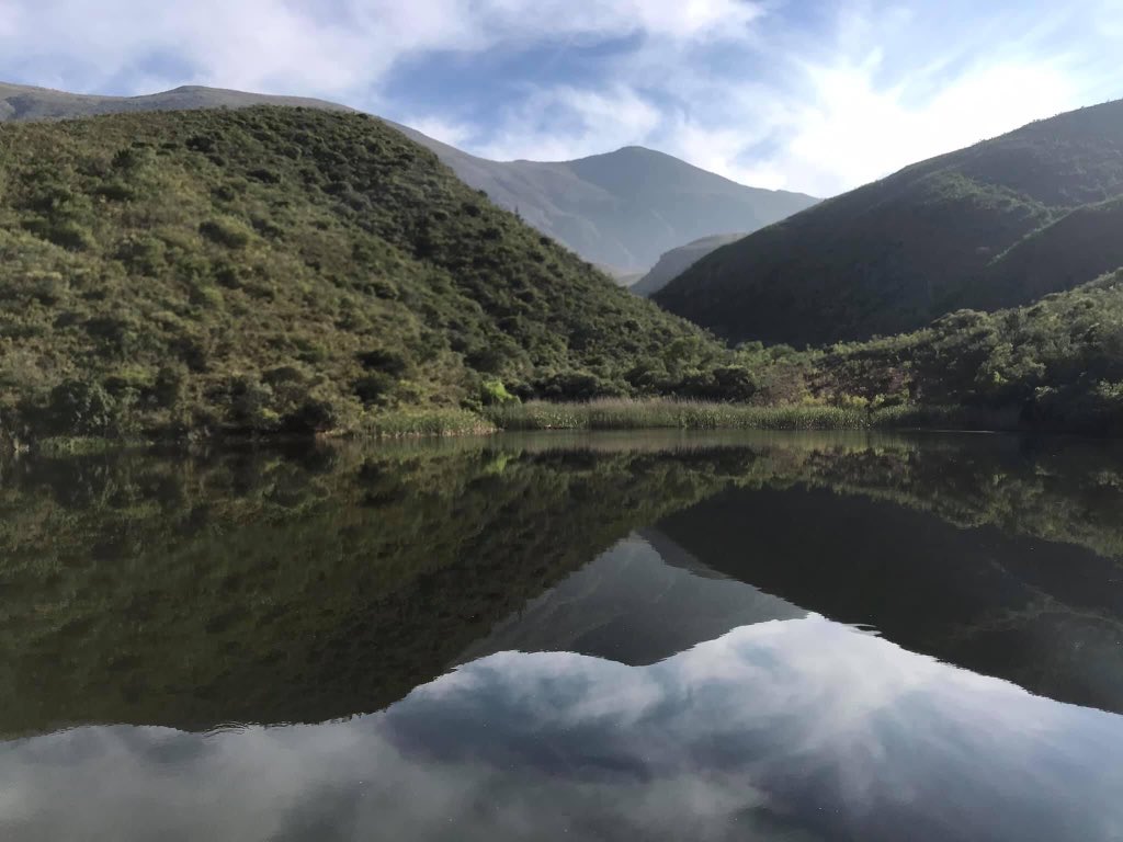 PatBuschReserve's tweet photo. Escape the crowds and take in the view at @PatBuschReserve #faunaandflora #naturereserve #naturefreedom #patbusch https://t.co/OCKBzrLXBy