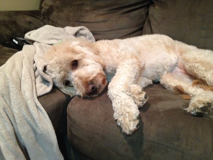 @char_scorpio She told me this just now https://t.co/E4oksZ7K31<a class="tags" target="_blank" title="On Twitter" href="/?out=eyJ0eXAiOiJKV1QiLCJhbGciOiJIUzUxMiJ9.eyJpYXQiOjE3MjYyODQ1NDMsImlzcyI6InR3cG9ybnN0YXJzLmNvbSIsIm5iZiI6MTcyNjI4NDU0MywiZXhwIjoxNzU3ODIwNTQzLCJyZWRpcmVjdF91cmwiOiJodHRwczovL3R3aXR0ZXIuY29tL2NoYXJfc2NvcnBpbyJ9.2zX9gVJJfmJV8ks6v81nlWWnq5HtRlQaLtf1PSn-Zml92Wq84Q8ktWbmnAiMsbj5YE5zkQzFKI4pSrvO96x7tg">@char_scorpio</a><a href="/tag/wutangclan"class="tags"><span>#wutangclan</span></a><a href="/tag/eroticaudio"class="tags"><span>#eroticaudio</span></a><a href="/tag/audioporn"class="tags"><span>#audioporn</span></a>