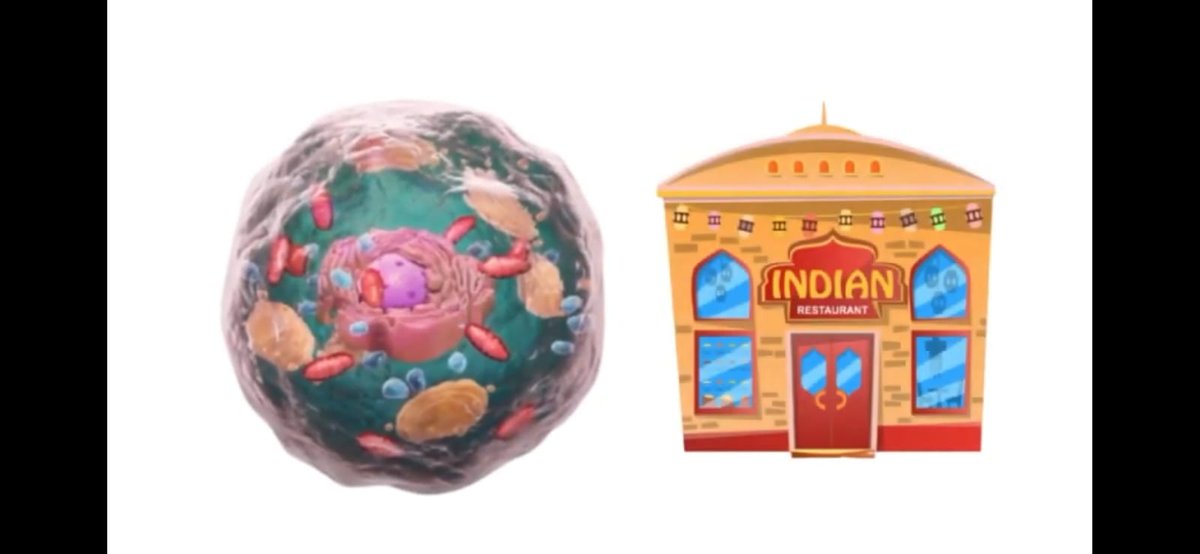 How curry lovers explain the new mRNA vaccine!!!
Molecular gastronomy the Taj way! Check out the link below
youtu.be/JwqgQOF9Qrg