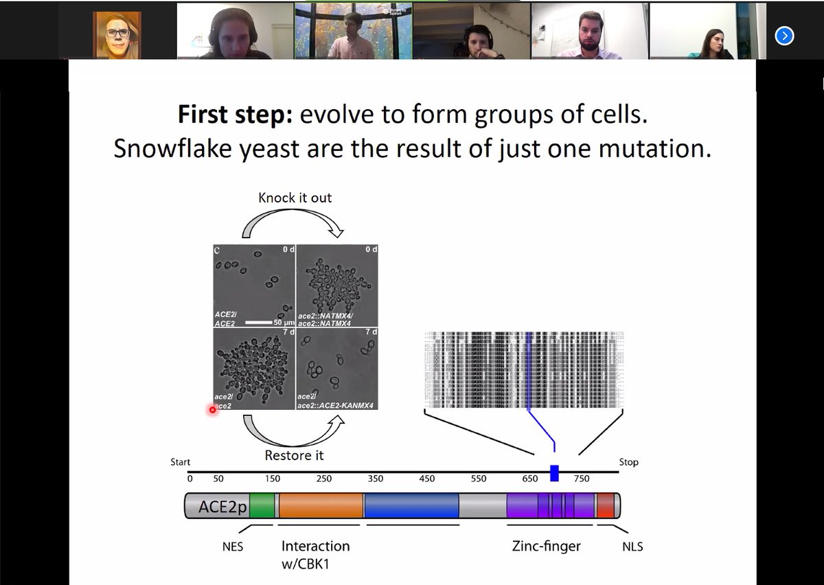 Raúl A. Ortiz-Merino tweet media