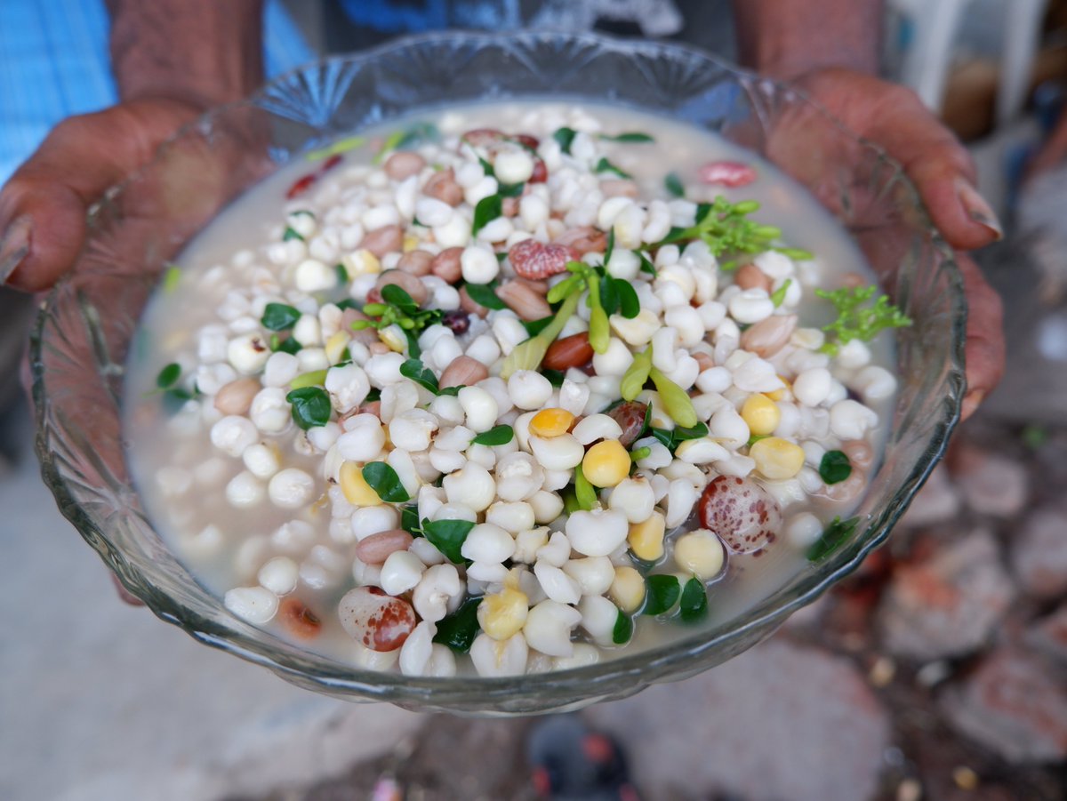 lakoatkujawas's tweet photo. tips masak jagung bose. kalau jagung baru ditumbuk, sonde perlu dicuci lngs dimasak. perbandingan, 2 gelas jagung, air 1 liter. kalau jagung bose lama, ya harus dicuci dulu. masak jagung dgn kacang skalian. sayuran ditambahkan di akhir. #beingindigenous #becomingindigenous https://t.co/g4t3storwG